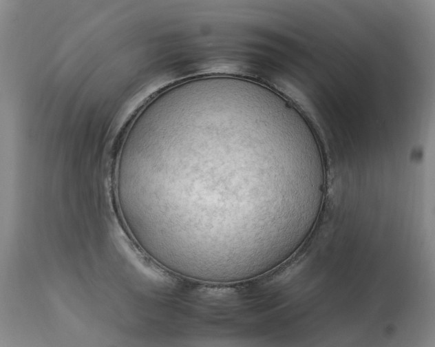 X0000113221043200910011340