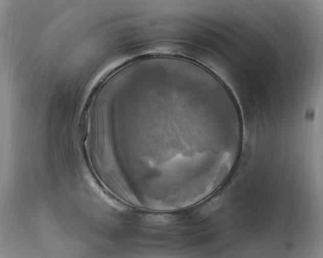 X0000113221045200910011340