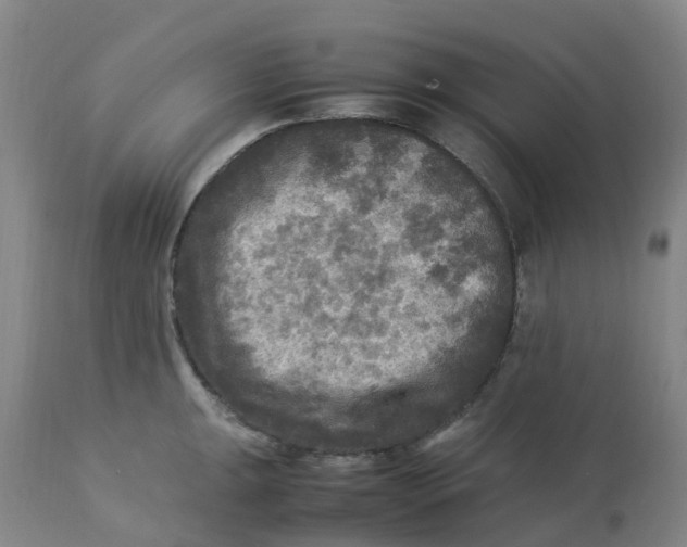 X0000113221047200910011340