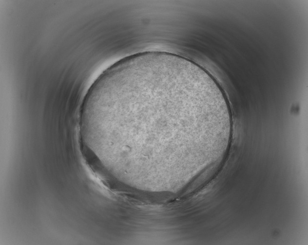 X0000113221048200910011340