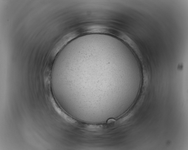 X0000113221049200910011340