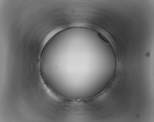 X0000113221050200910011340