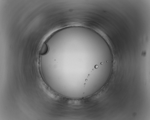 X0000113221051200910011340