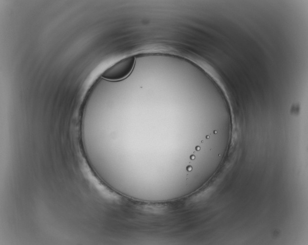 X0000113221053200910011340