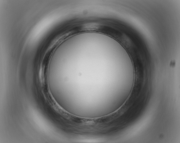 X0000113221054200910011340