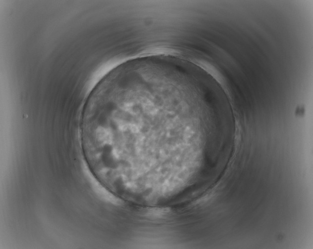 X0000113221055200910011340