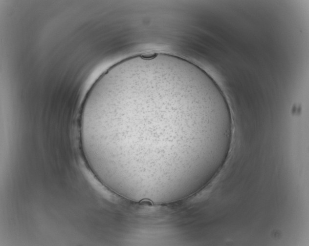 X0000113221056200910011340