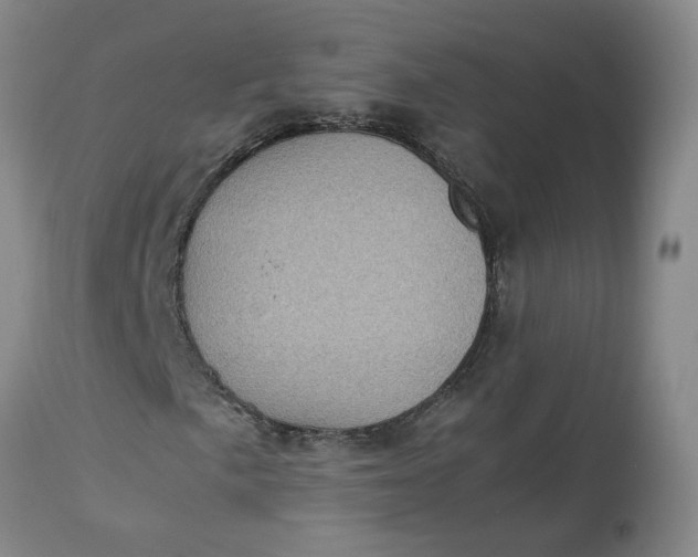 X0000113221057200910011339