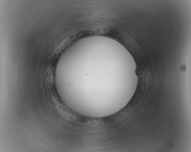 X0000113221058200910011339