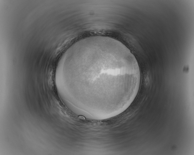 X0000113221060200910011339