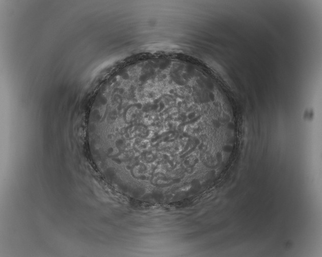 X0000113221063200910011339