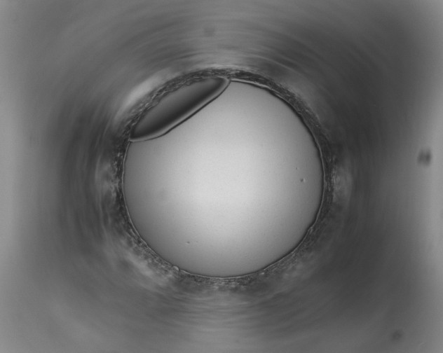 X0000113221064200910011339