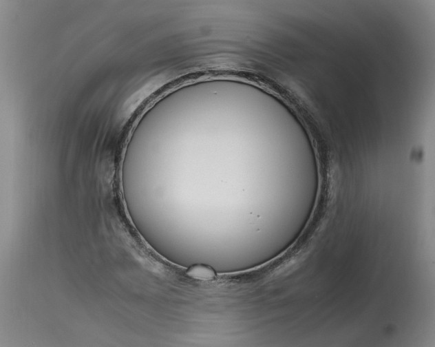 X0000113221065200910011339