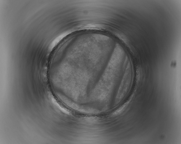 X0000113221066200910011339