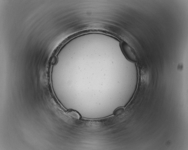 X0000113221068200910011339