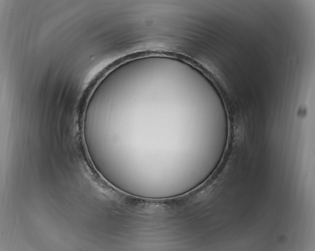 X0000113221070200910011339