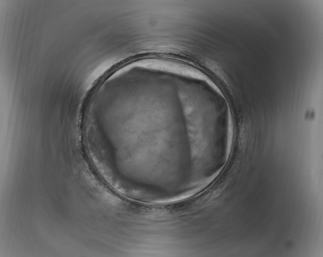 X0000113221071200910011339