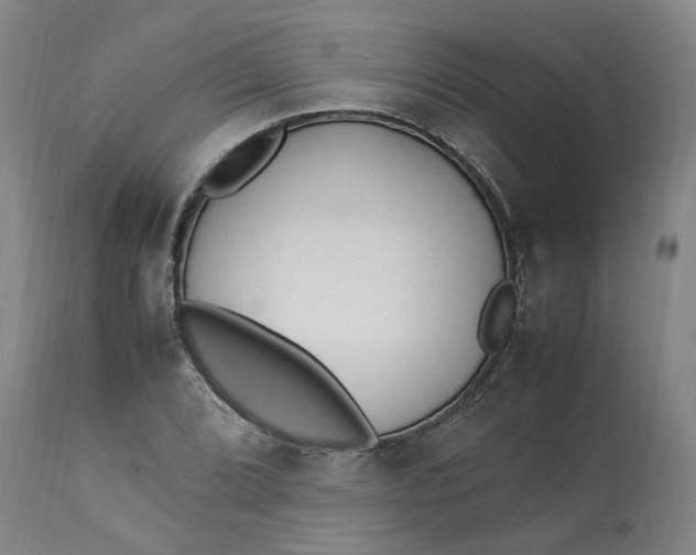 X0000113221072200910011339