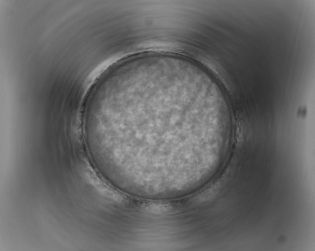 X0000113221074200910011339