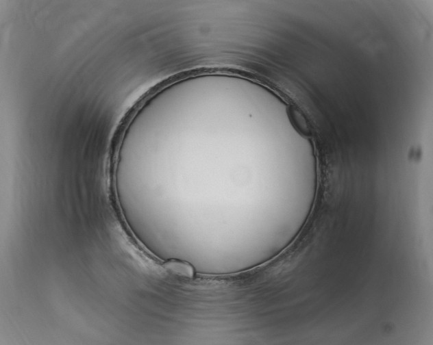 X0000113221076200910011339