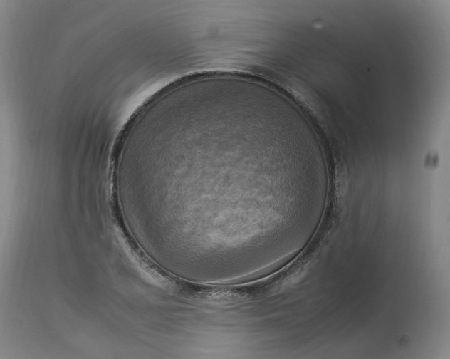 X0000113221077200910011339