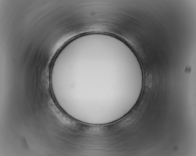 X0000113221078200910011339