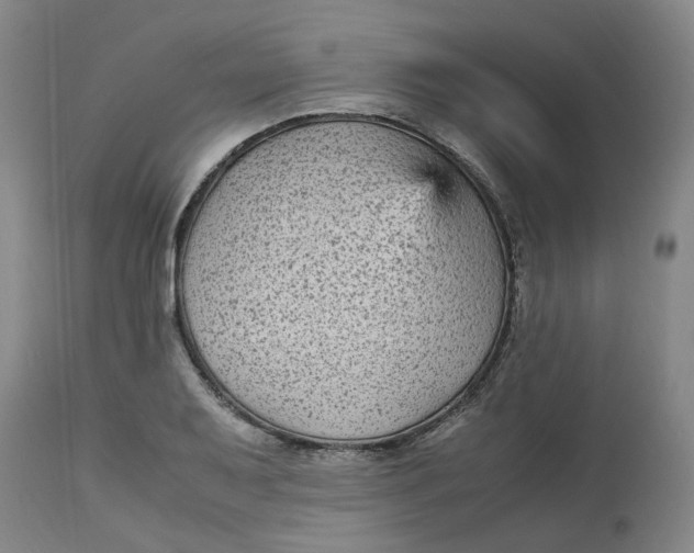 X0000113221079200910011339