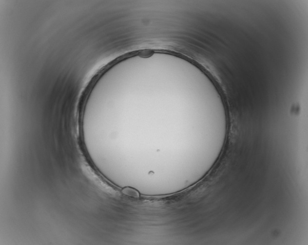 X0000113221080200910011339