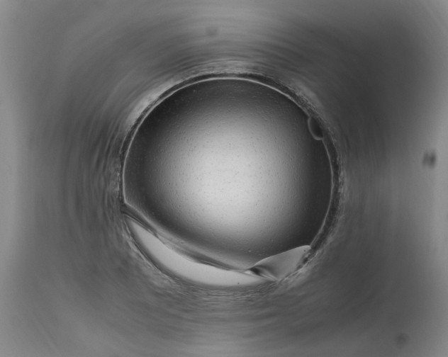 X0000113221081200910011339