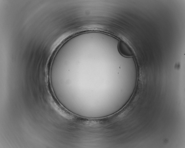 X0000113221082200910011339