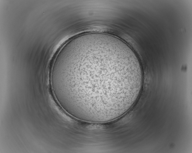 X0000113221083200910011339