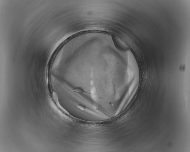 X0000113221084200910011339