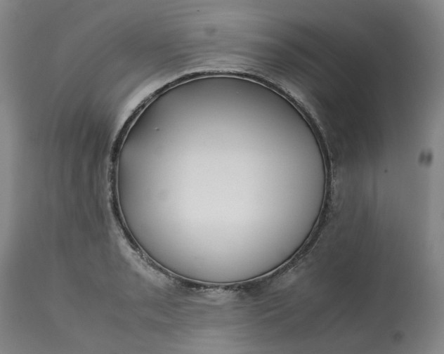 X0000113221085200910011339