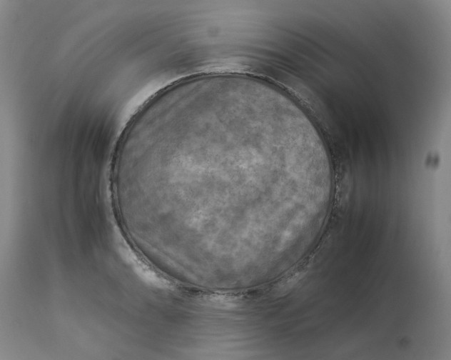 X0000113221086200910011339