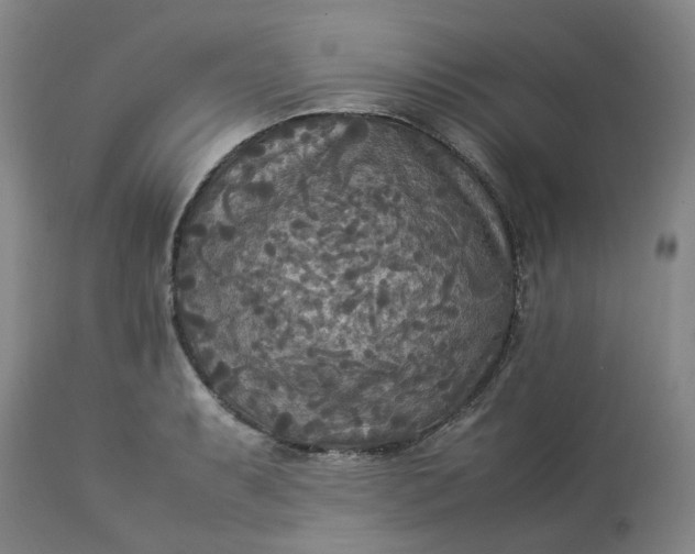 X0000113221087200910011339