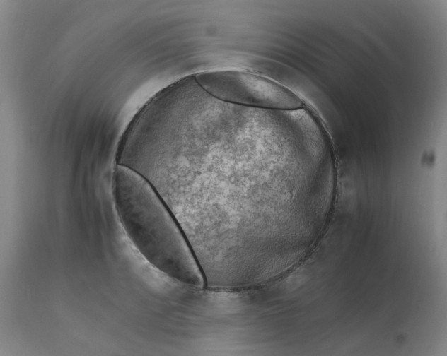 X0000113221088200910011339