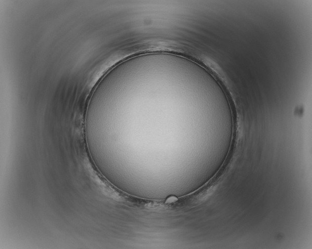 X0000113221089200910011339