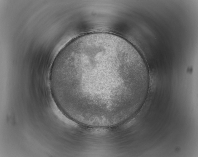 X0000113221090200910011339