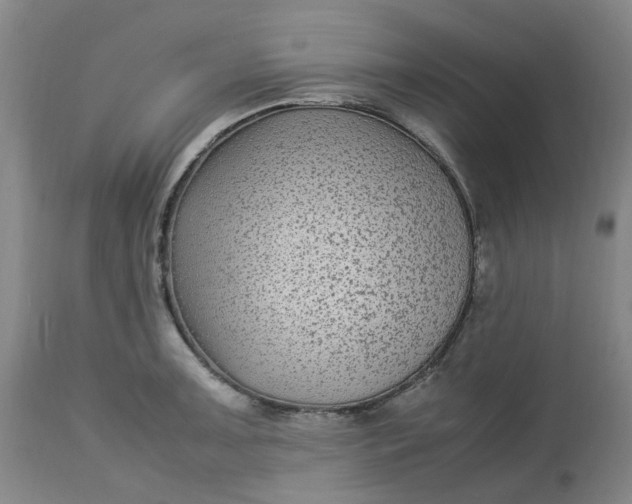 X0000113221091200910011339