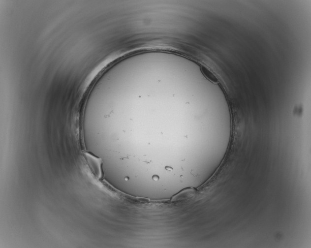 X0000113221092200910011339