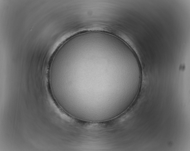 X0000113221093200910011339