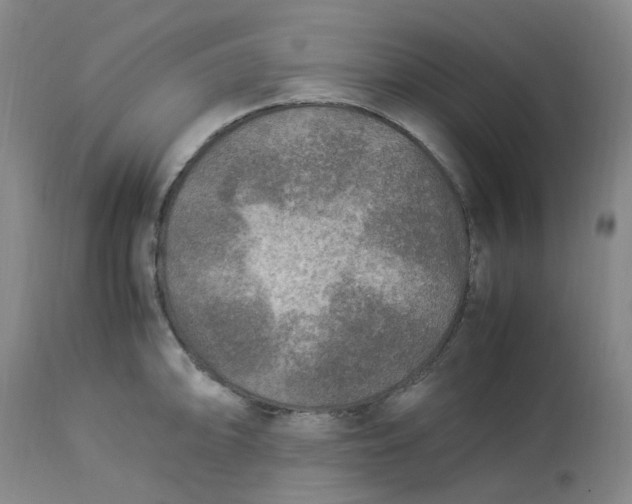 X0000113221094200910011339