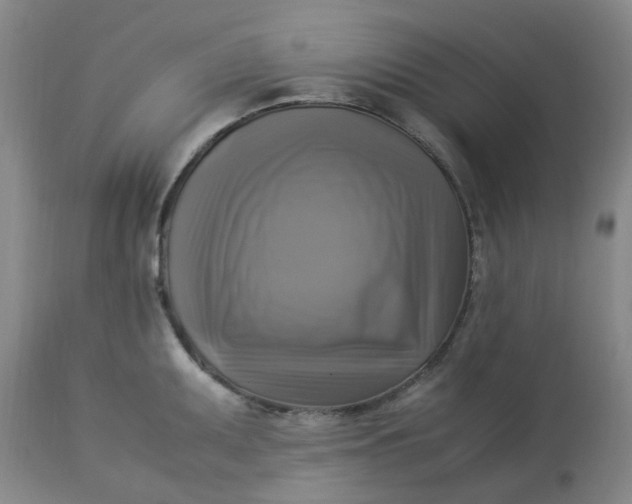 X0000113221095200910011339