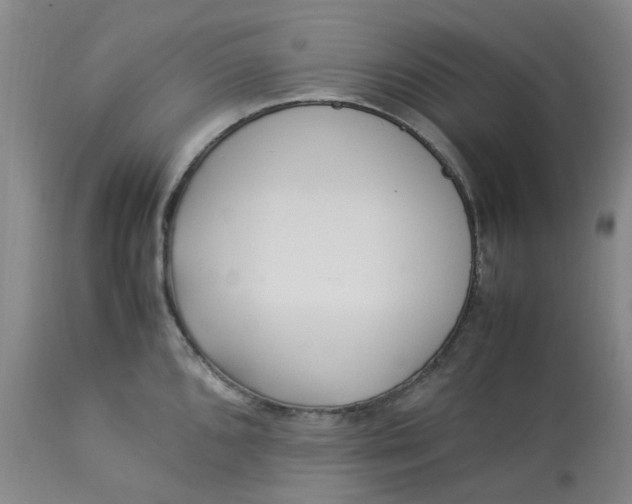 X0000113221096200910011339