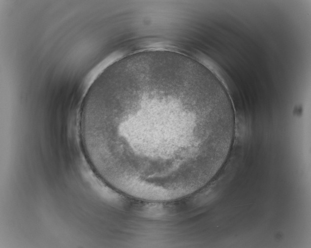 X0000113221098200910011339