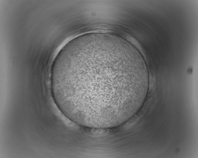 X0000113221099200910011339