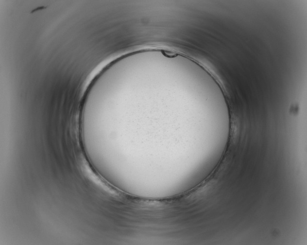 X0000113221100200910011339