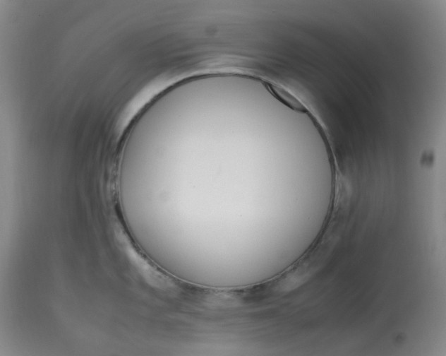 X0000113221101200910011339