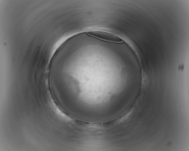 X0000113221102200910011339