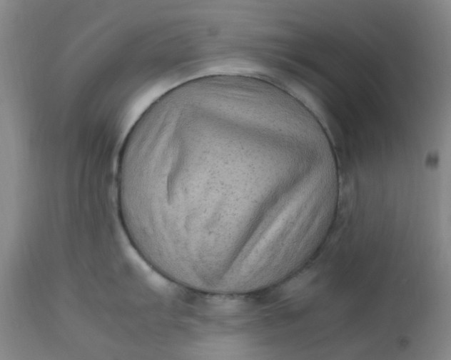 X0000113221103200910011339